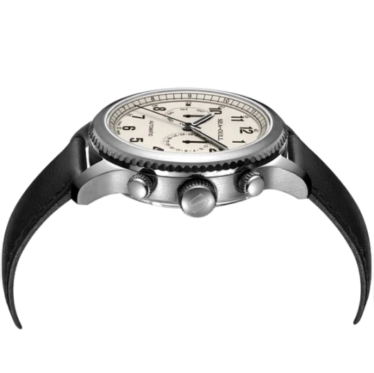 Seagull Watch | Aviation Dual Time Zone Pilot Automatic Watch 43mm - Image 3