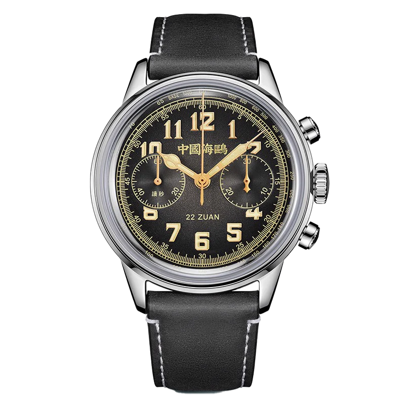 Seagull 1963 Wind Chaser Edition - Image 12